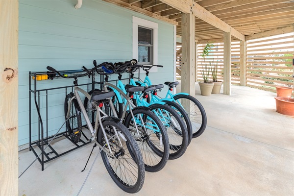 Bikes for the whole group