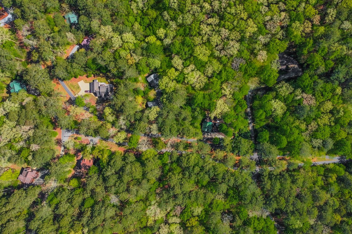 Look how the cabin is surrounded in the woodlands with pathway lights to enjoy all the waterfront and outdoor lounging spaces!