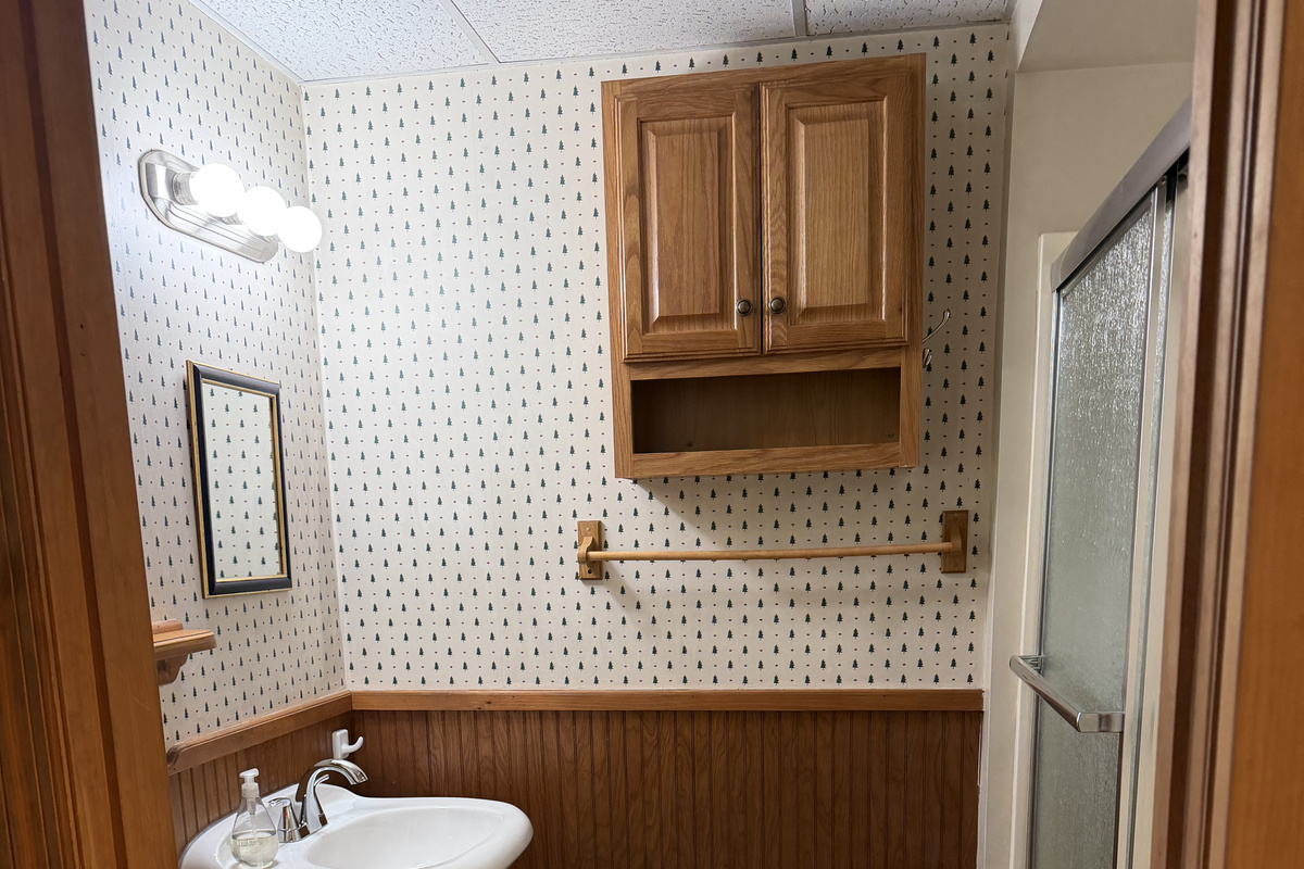 Lower Level full bathroom