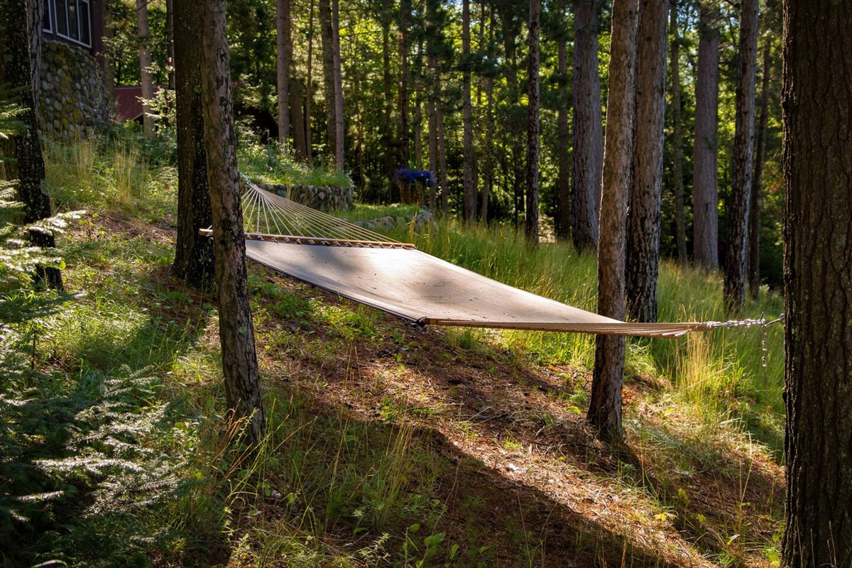 Nothing better than resting in a hammock under the pines after a full day of activities.