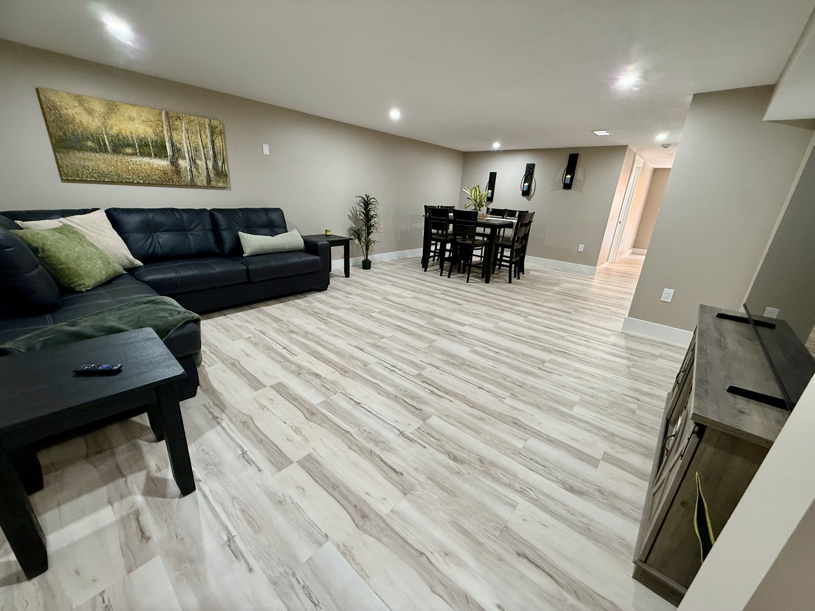 Living room in basement with heated floors and 65” TV