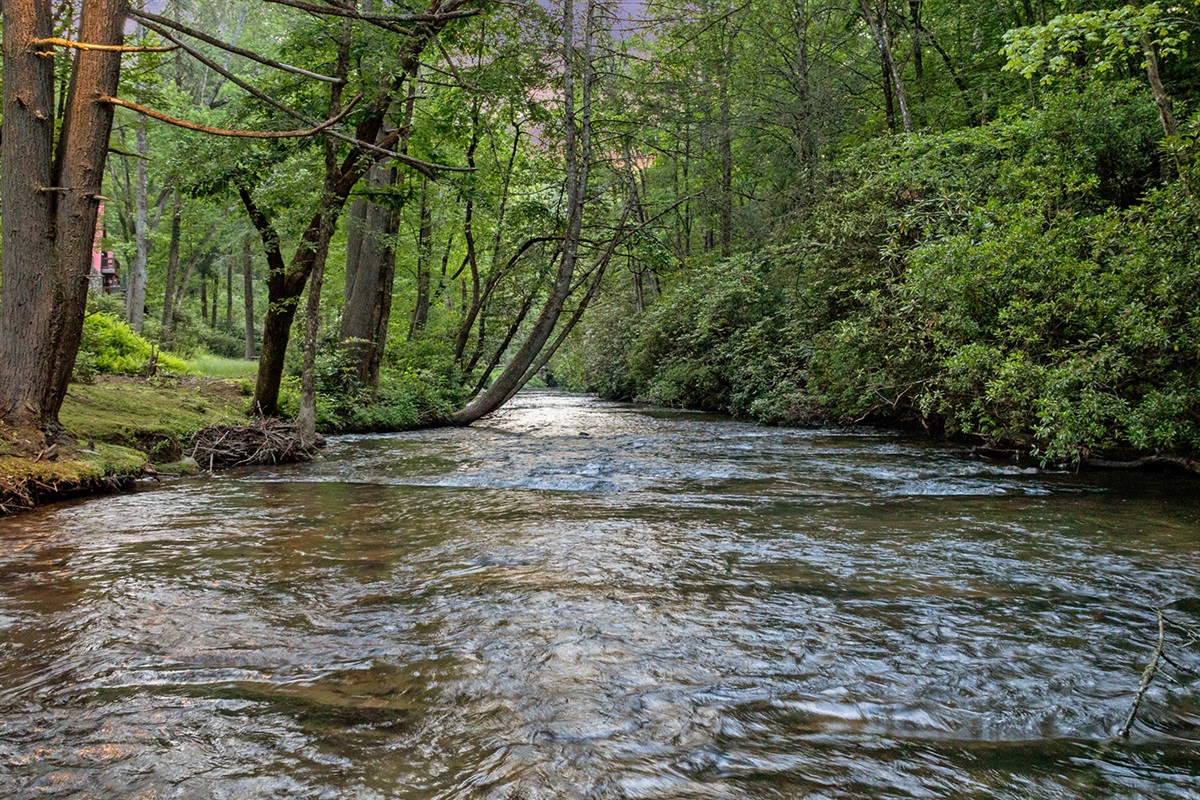 Relax by the creek, breathe in the mountain air, and soak in the beauty of the forest.