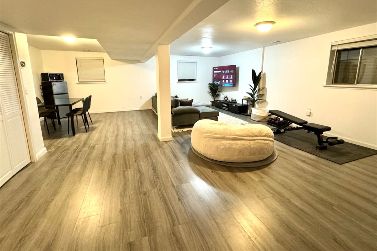 Basement Living Area