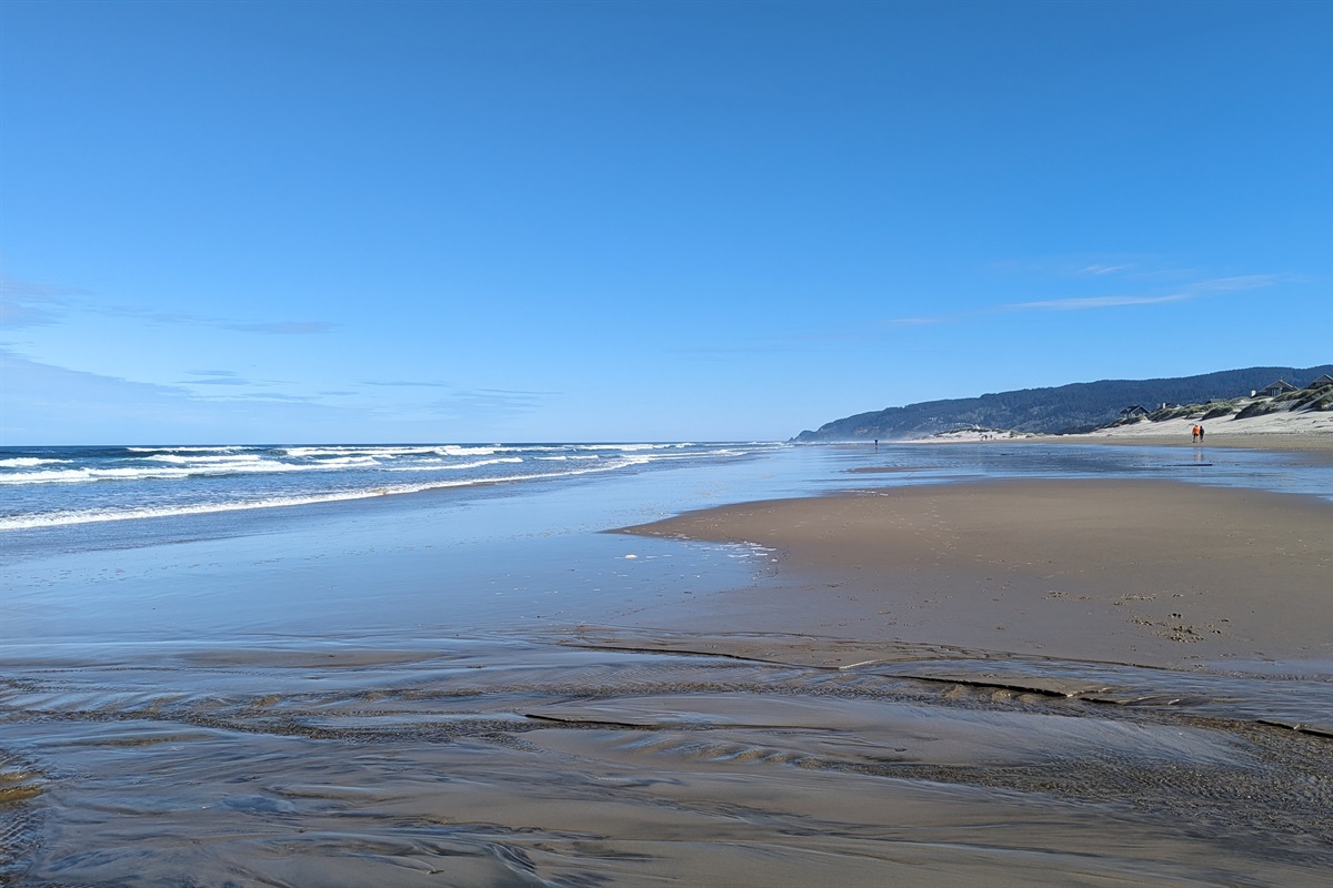 Heceta Beach looking North