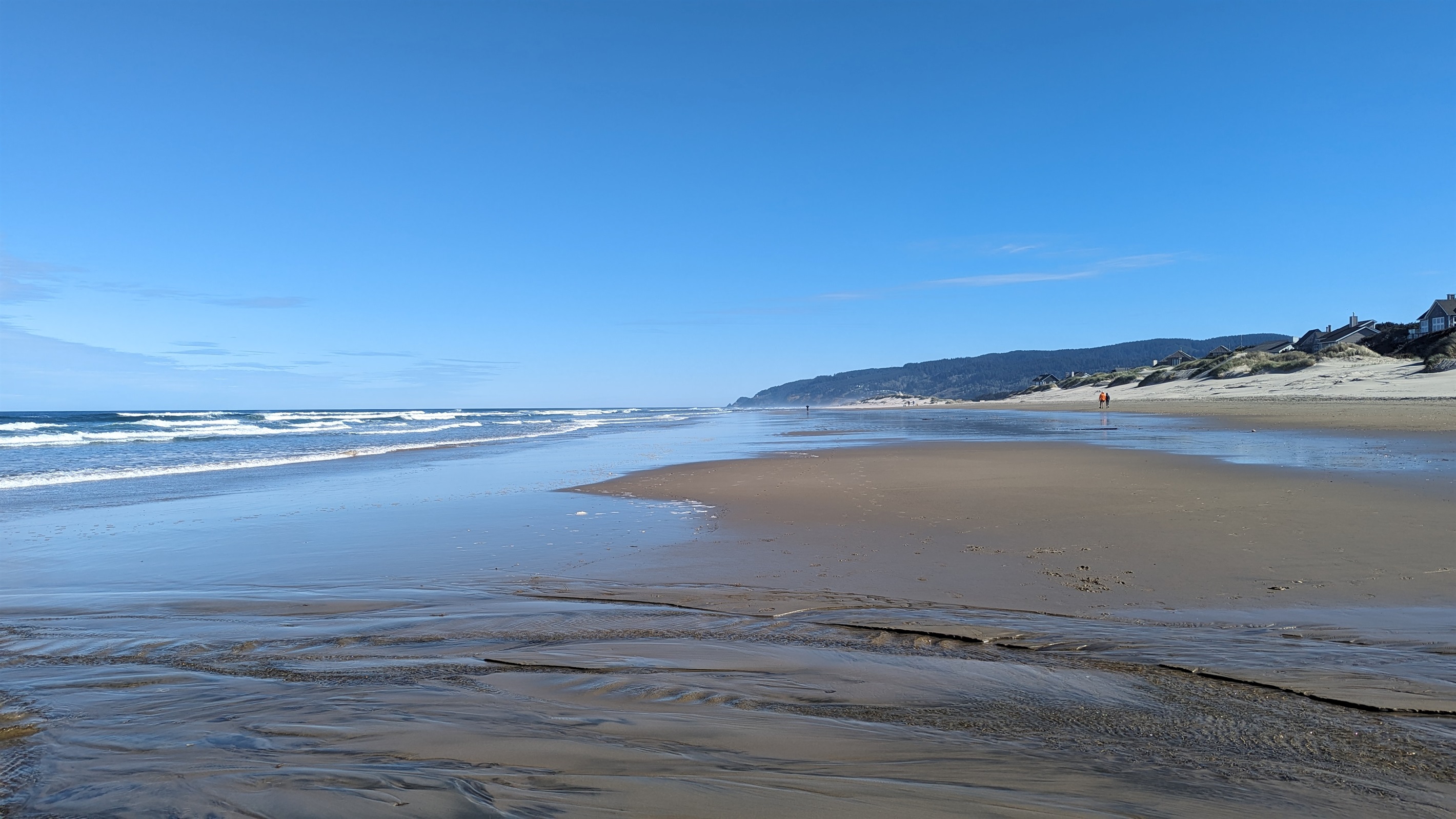 Heceta Beach looking North