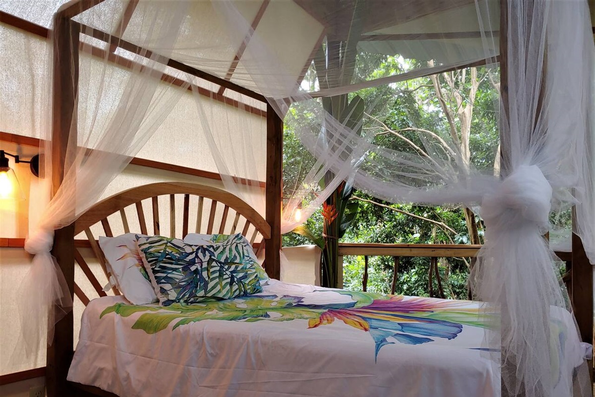 Sleep with the sounds of the jungle. 