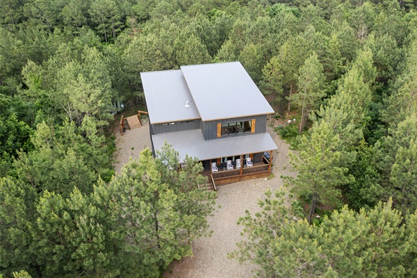 Surrounded by tall pines