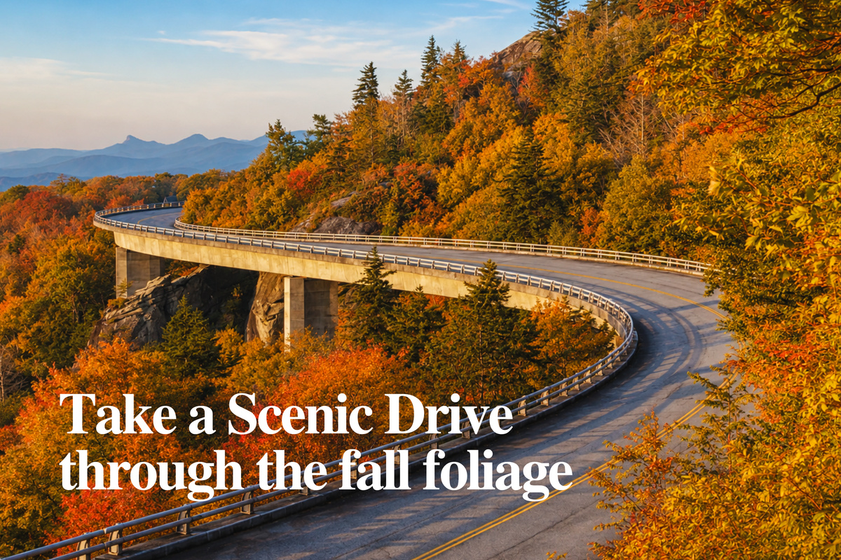 Take a scenic drive through the fall foliage, winding along Blue Ridge's mountain roads as the landscape transforms into shades of gold, crimson, and amber.