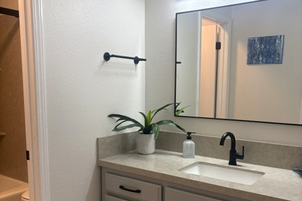 Primary bathroom - downstairs