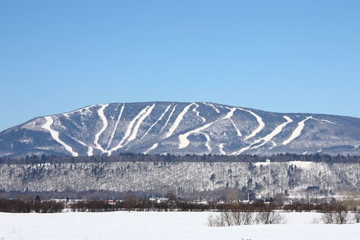 Vue du Mont Sainte-Anne, à moins de 5 minutes d'auto !