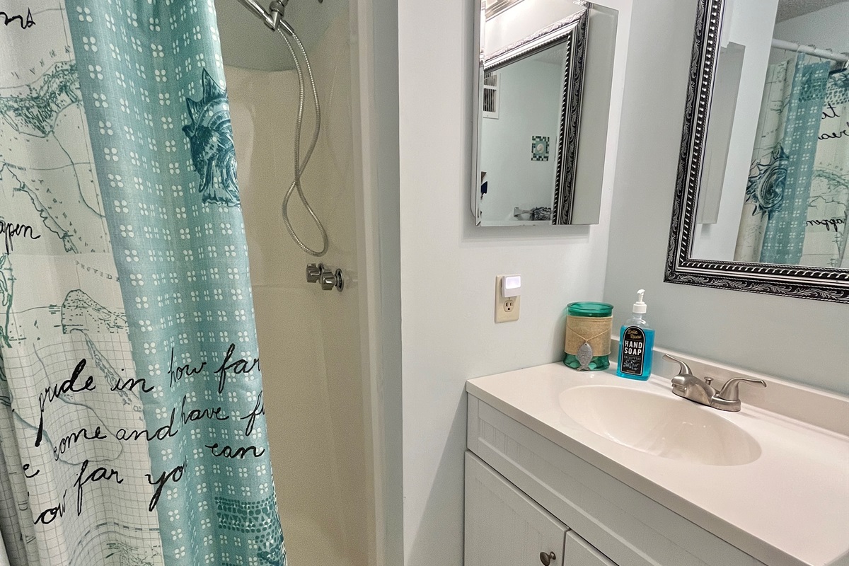 Guest Bathroom