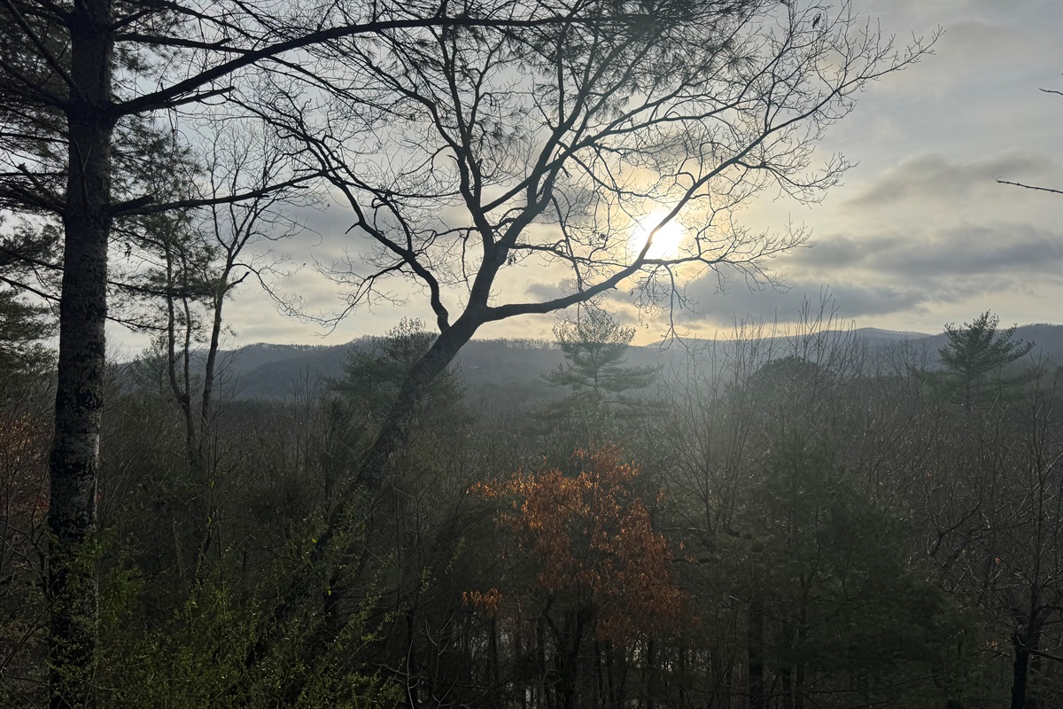 Morning light filtering through the trees with peaceful mountain views—nature’s perfect way to start the day.