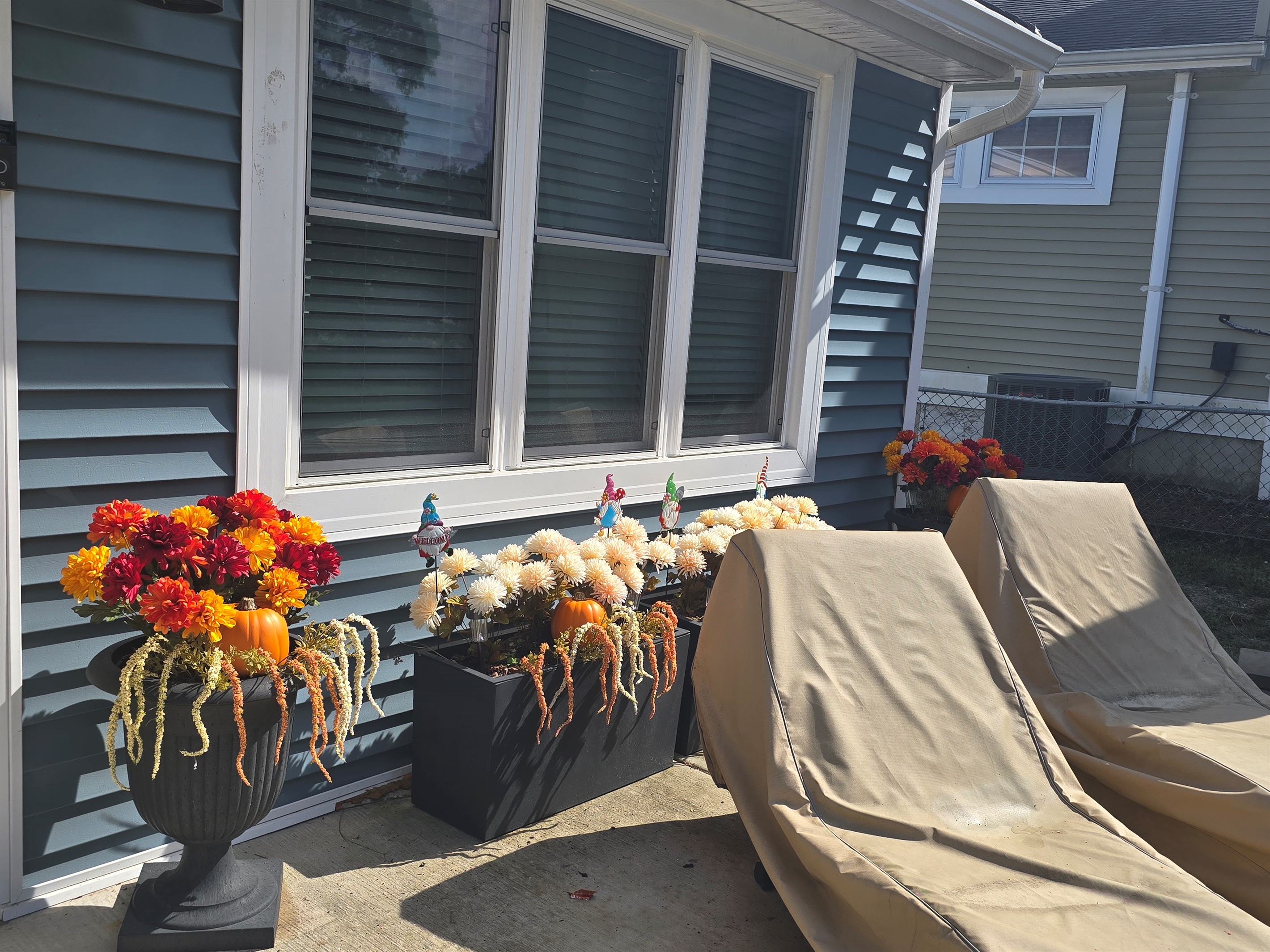 Fall Vibes