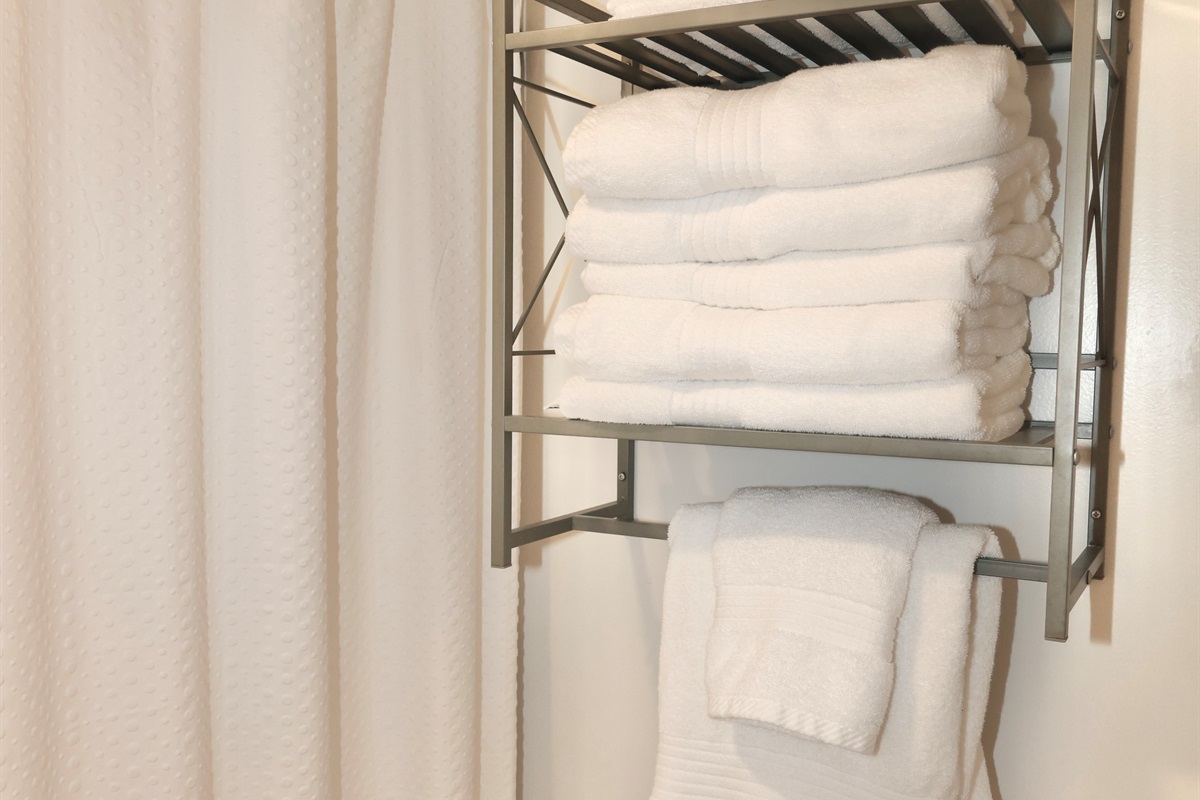 Full Hallway Bathroom