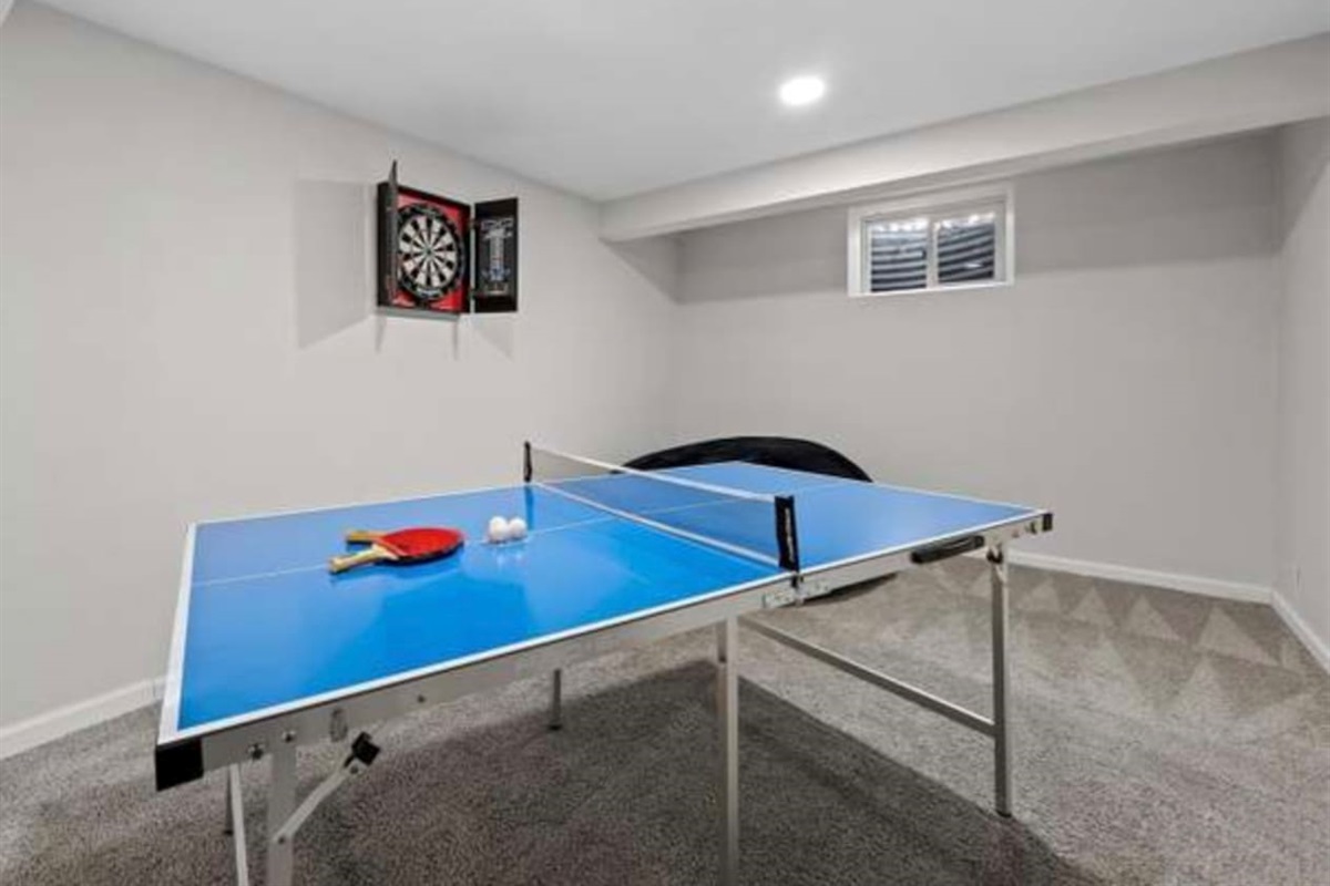 Ping pong in the finished basement 