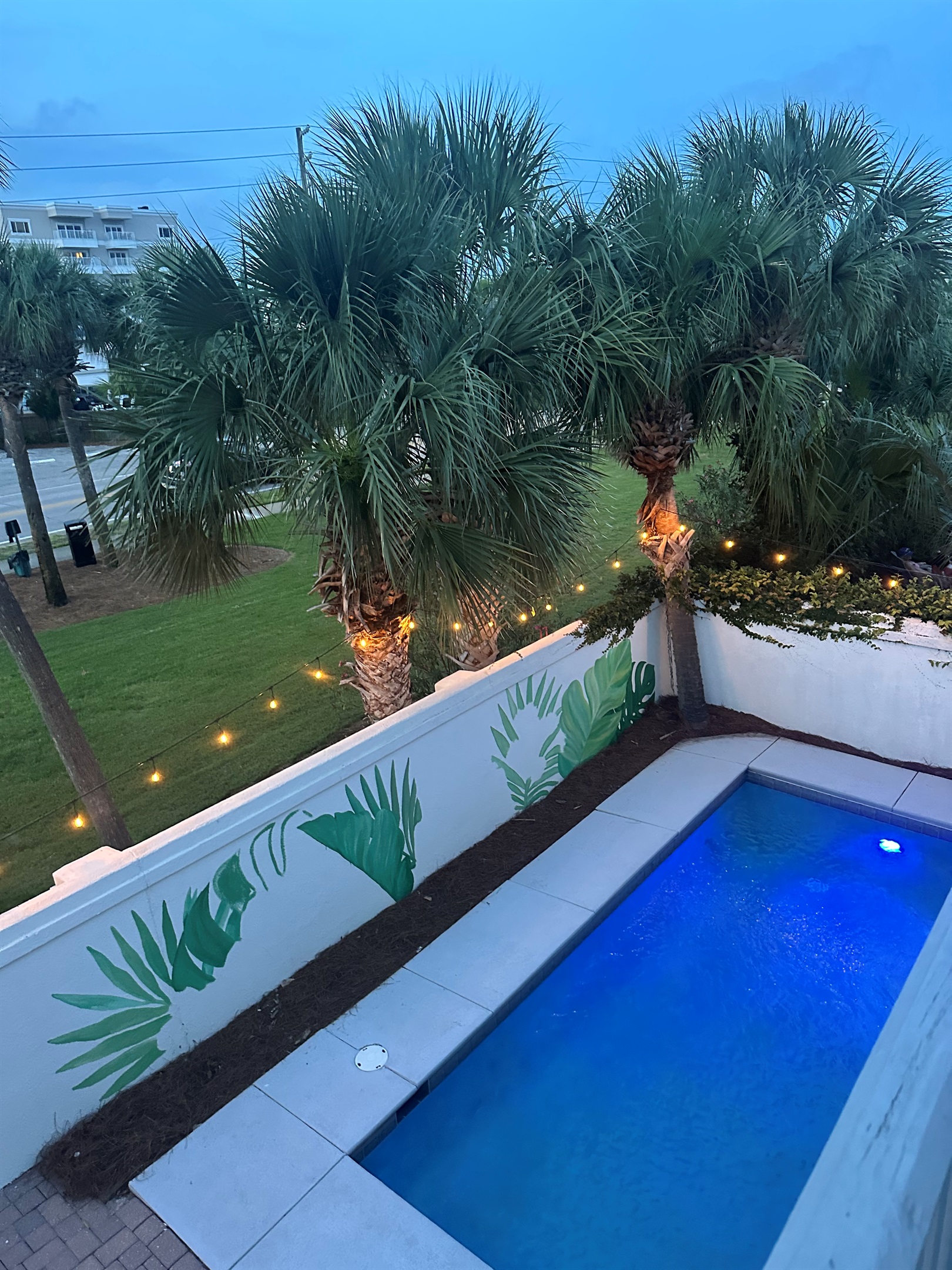 SNEAK PEEK - Pool Mural