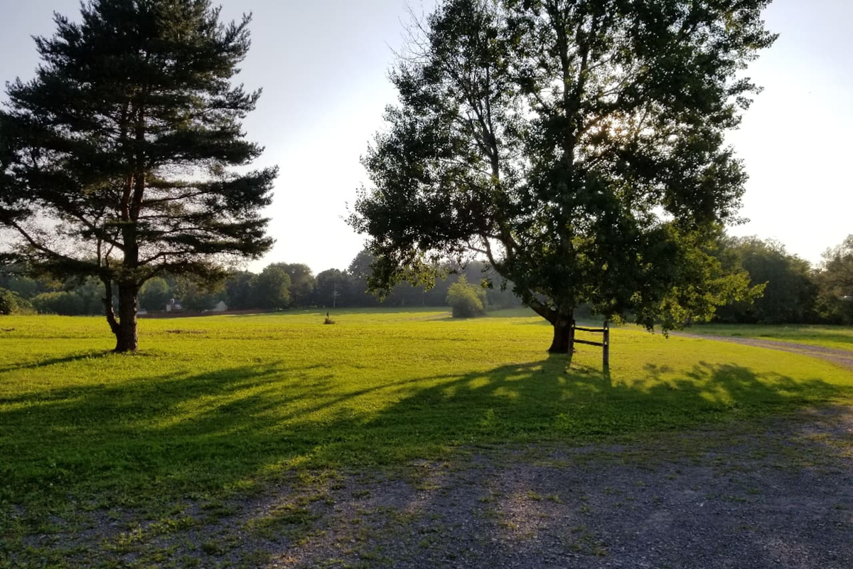 Front yard