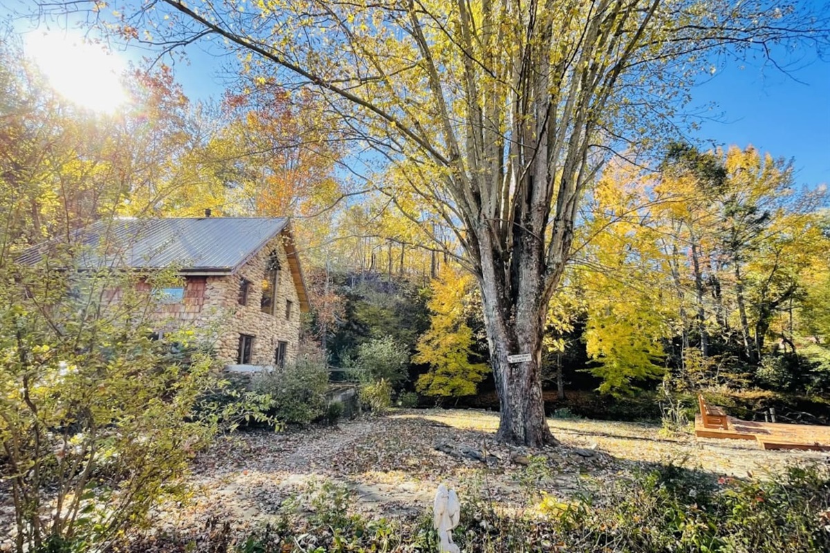 Glorious fall in the mountains
