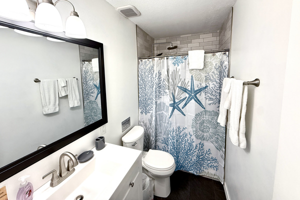 Secondary full bath with step in rainfall shower