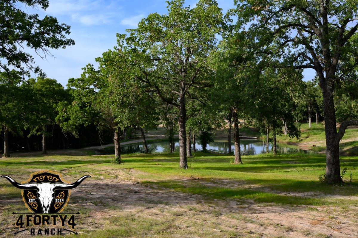 A view of the pond as your drive into the front gate