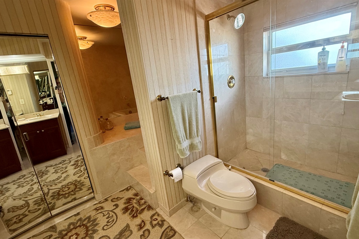 Master ensuite shower