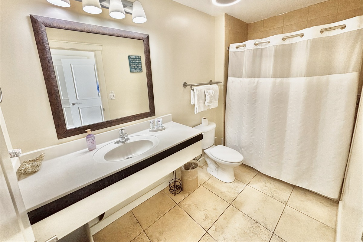 Ensuite master bathroom