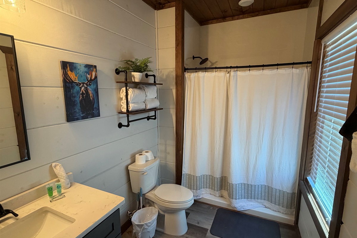 Downstairs King ensuite
