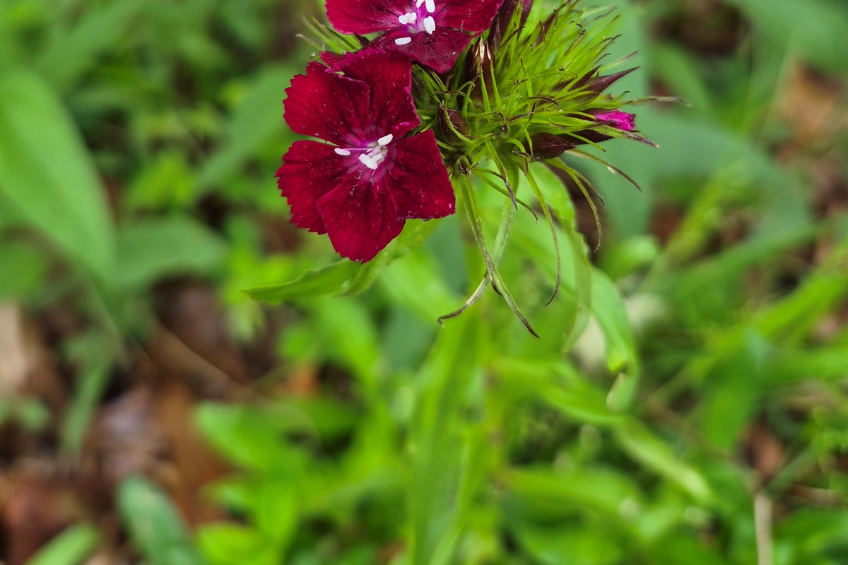 Beauty abounds everywhere