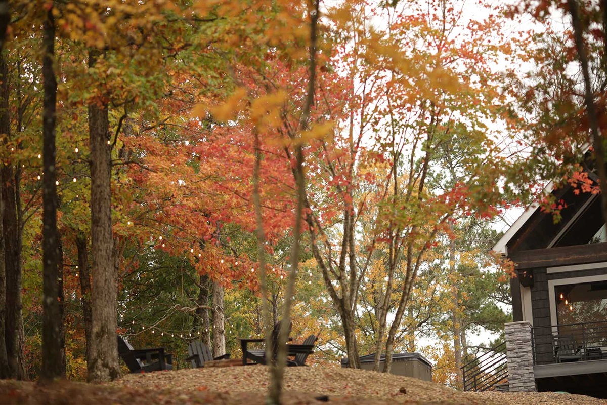 Our favorite maple :)
