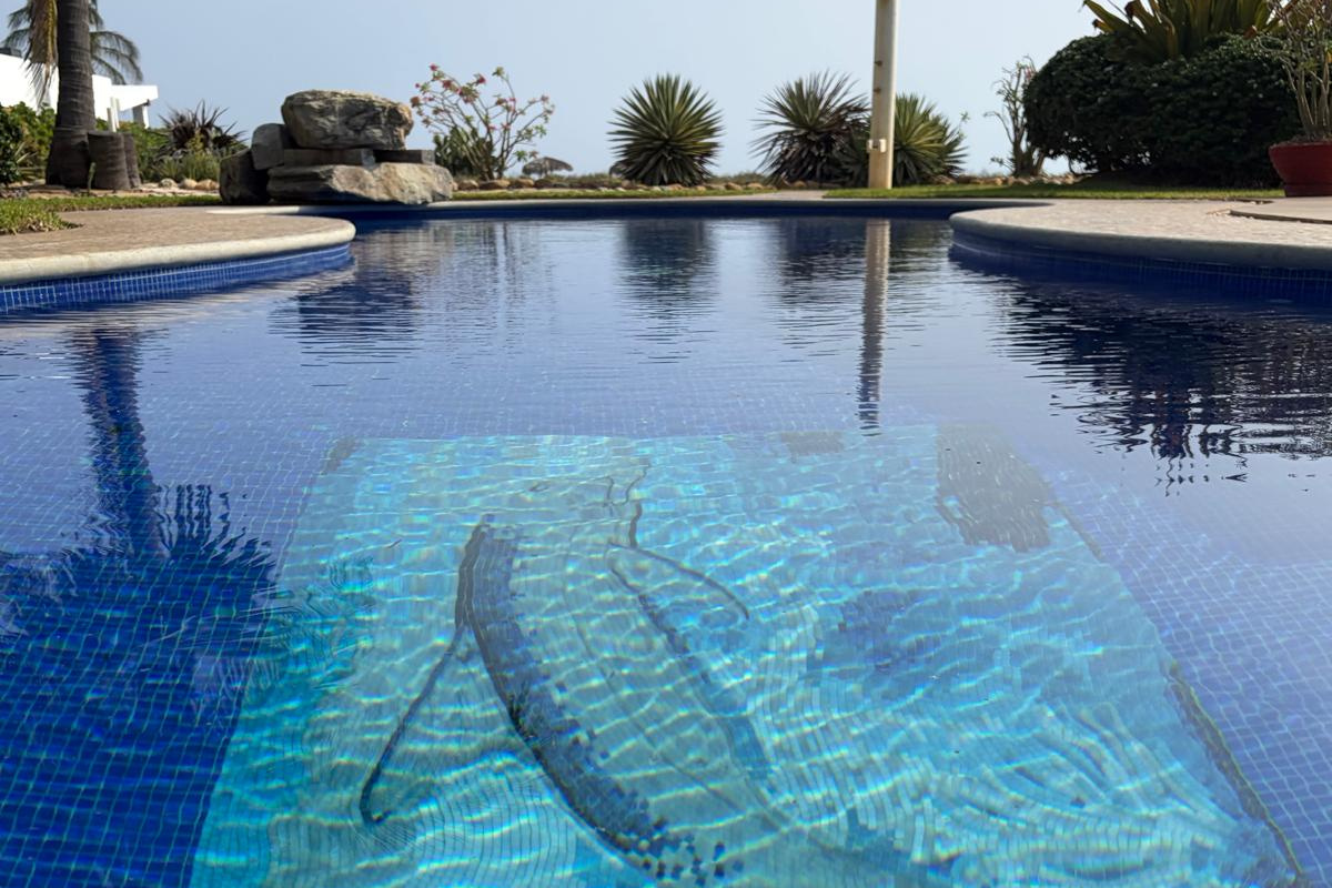 Private Pool