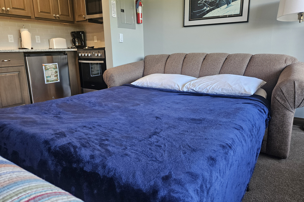 Sofa sleeper: Queen bed. 