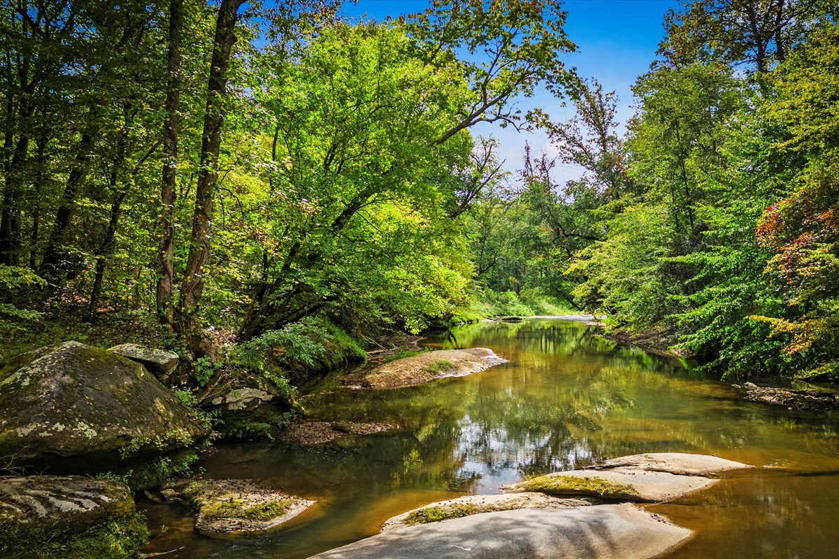 Your Riverside Memories getaway is where relaxation meets adventure in perfect balance.