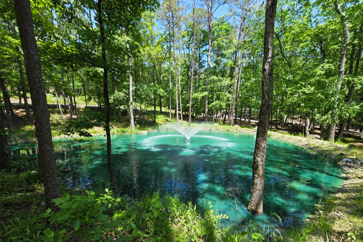 Koi Pond Fountain View