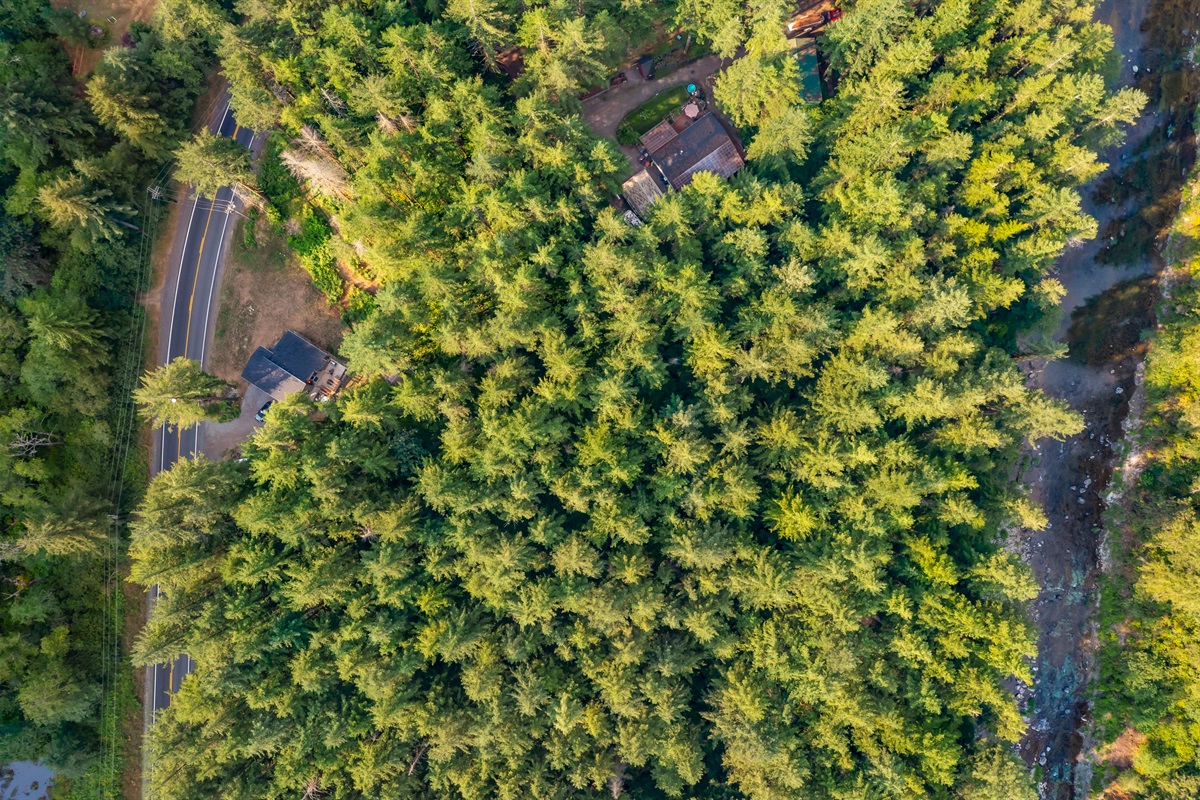 10 acres of Washington State Forest and The Washougal River 2 min walk from your back door