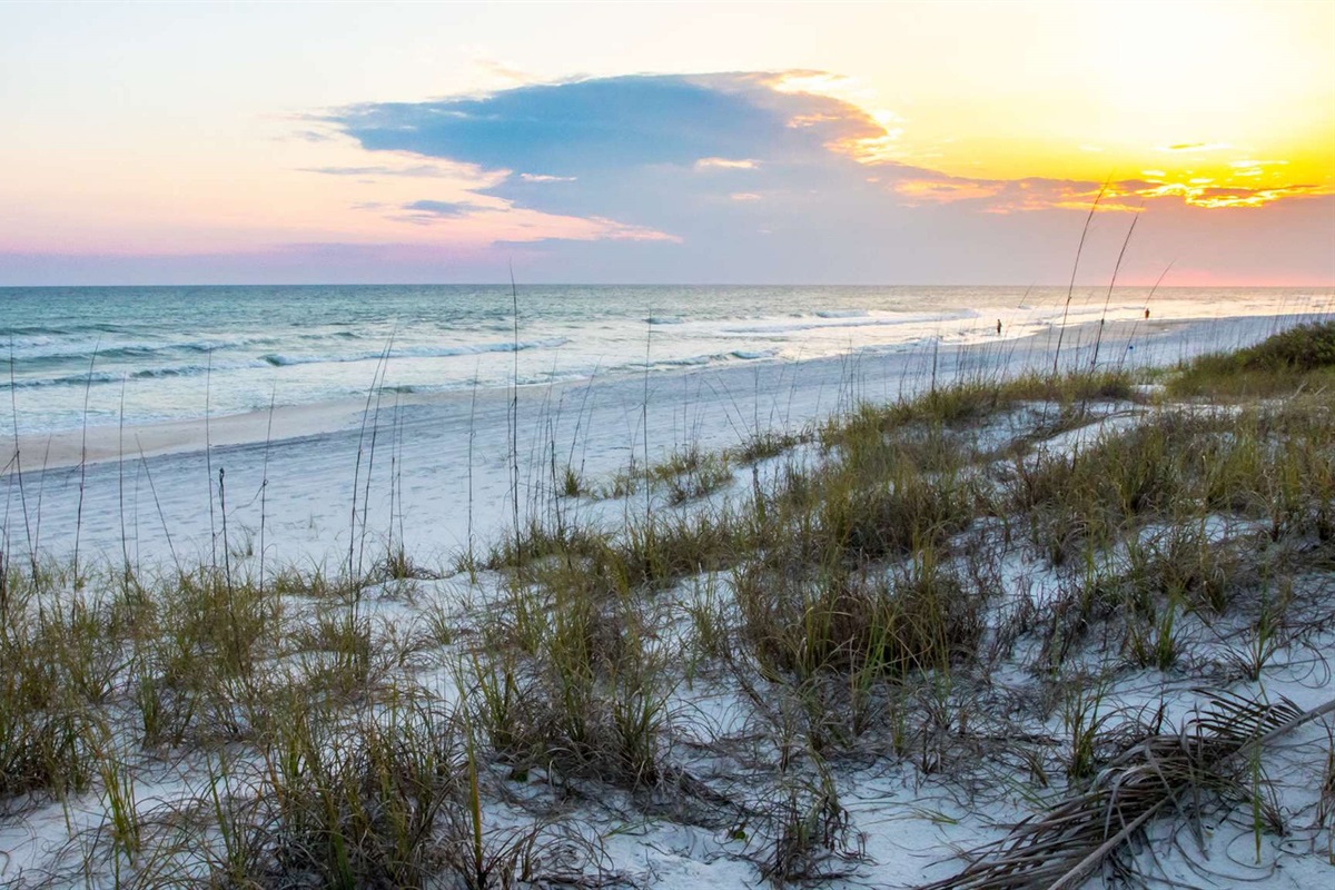 Must catch at least one of our famous sunsets while here. 