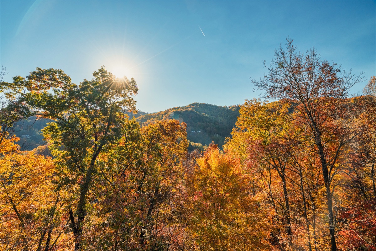 Wake up to stunning scenery.
