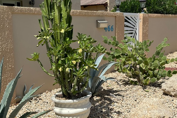 Private gated front yard with on street parking.