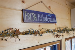 Fresh blueberries sign
