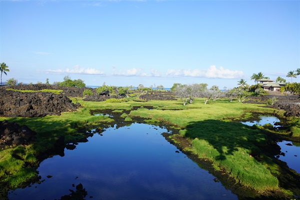 Anchialine ponds nearby.