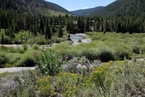 Snake River with bike path in the foreground