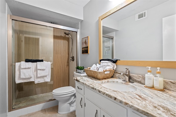 Downstairs Bathroom with Rain Shower