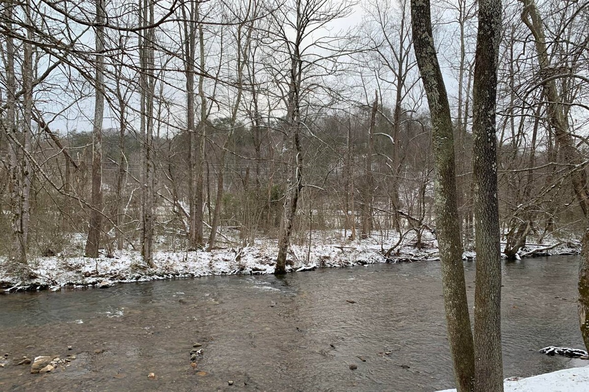 Creek view in winter