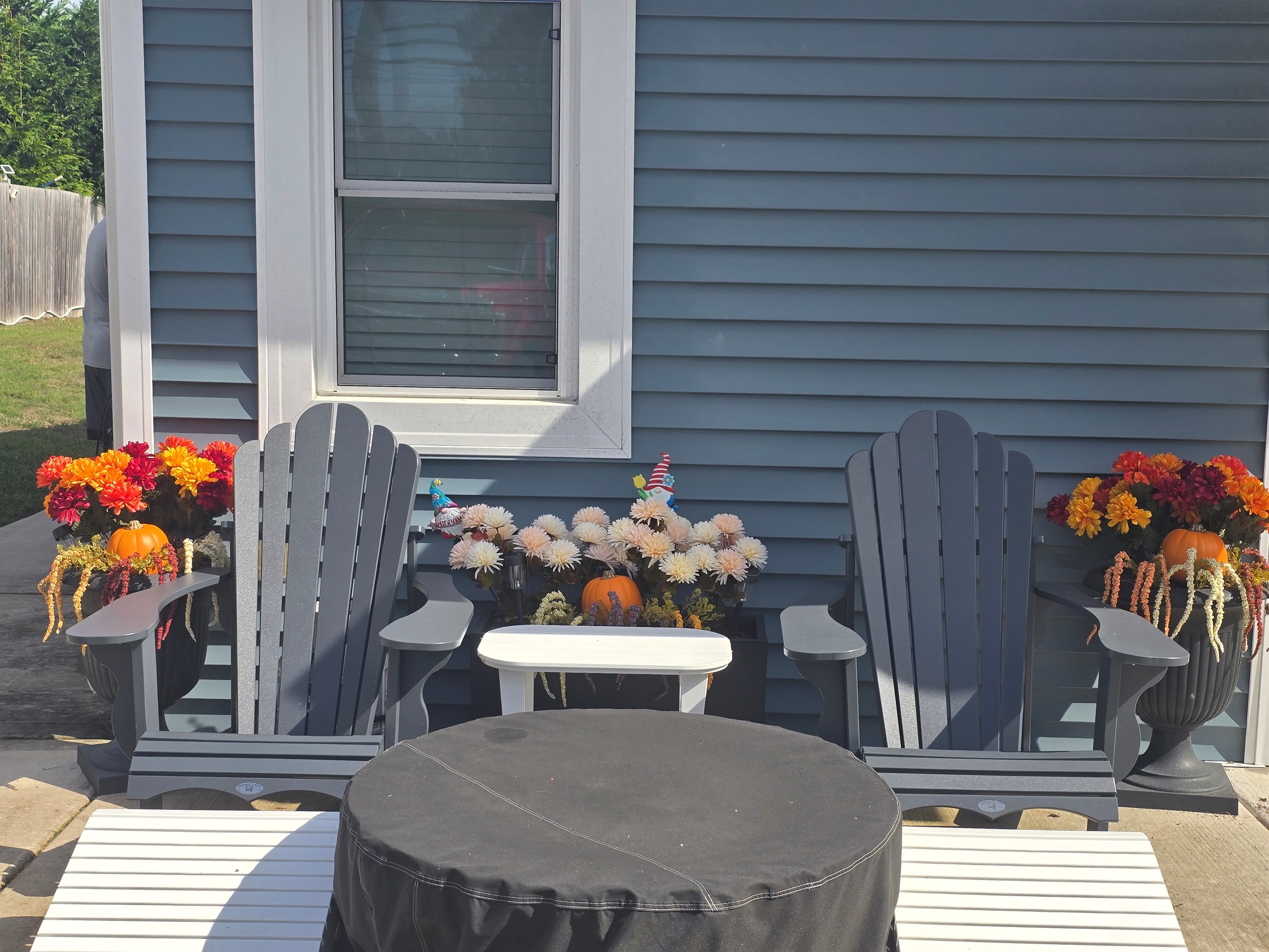 Fall Vibes