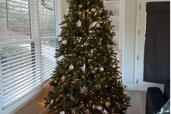 Our Christmas tree is up!  Come celebrate the holidays with us!