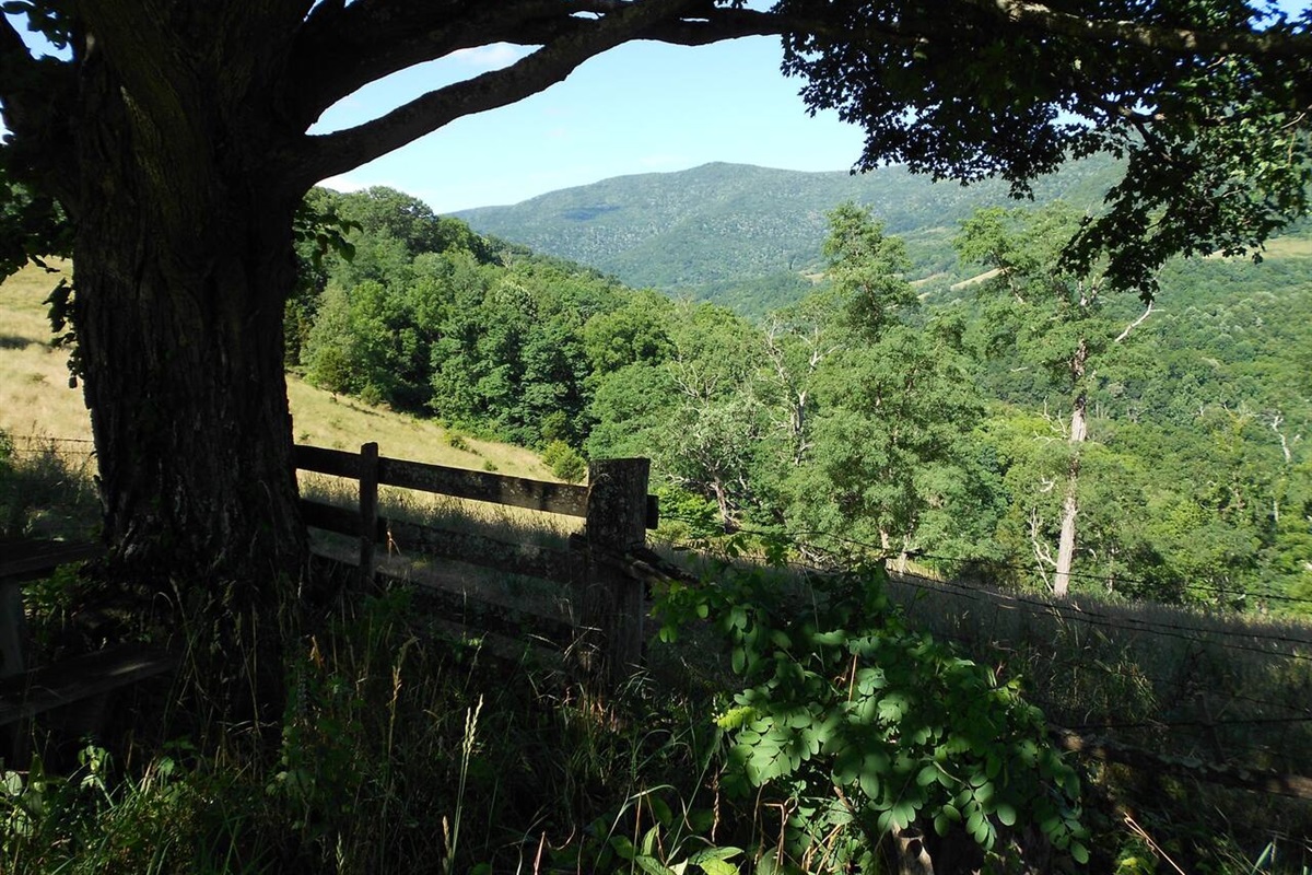 An amazing view from the walking path