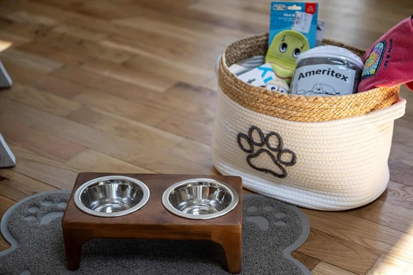 Dog supplies await your furry family member.