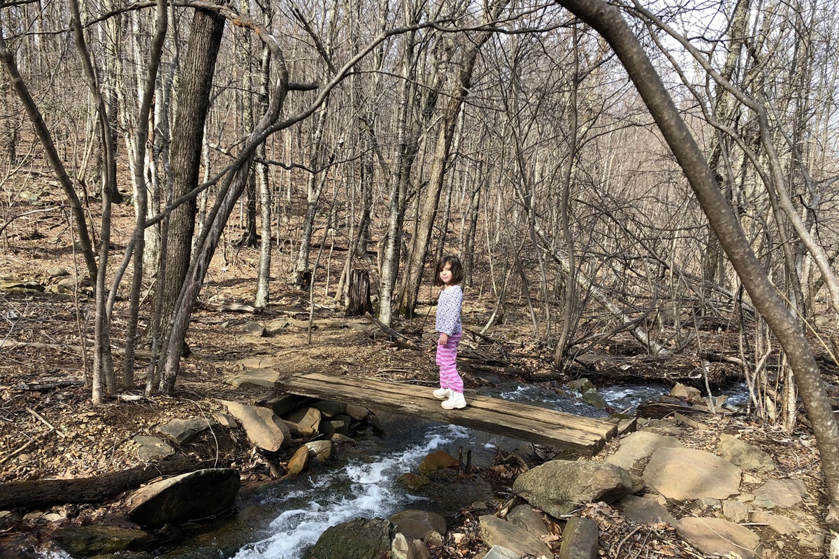 Hike to Shamokin falls 