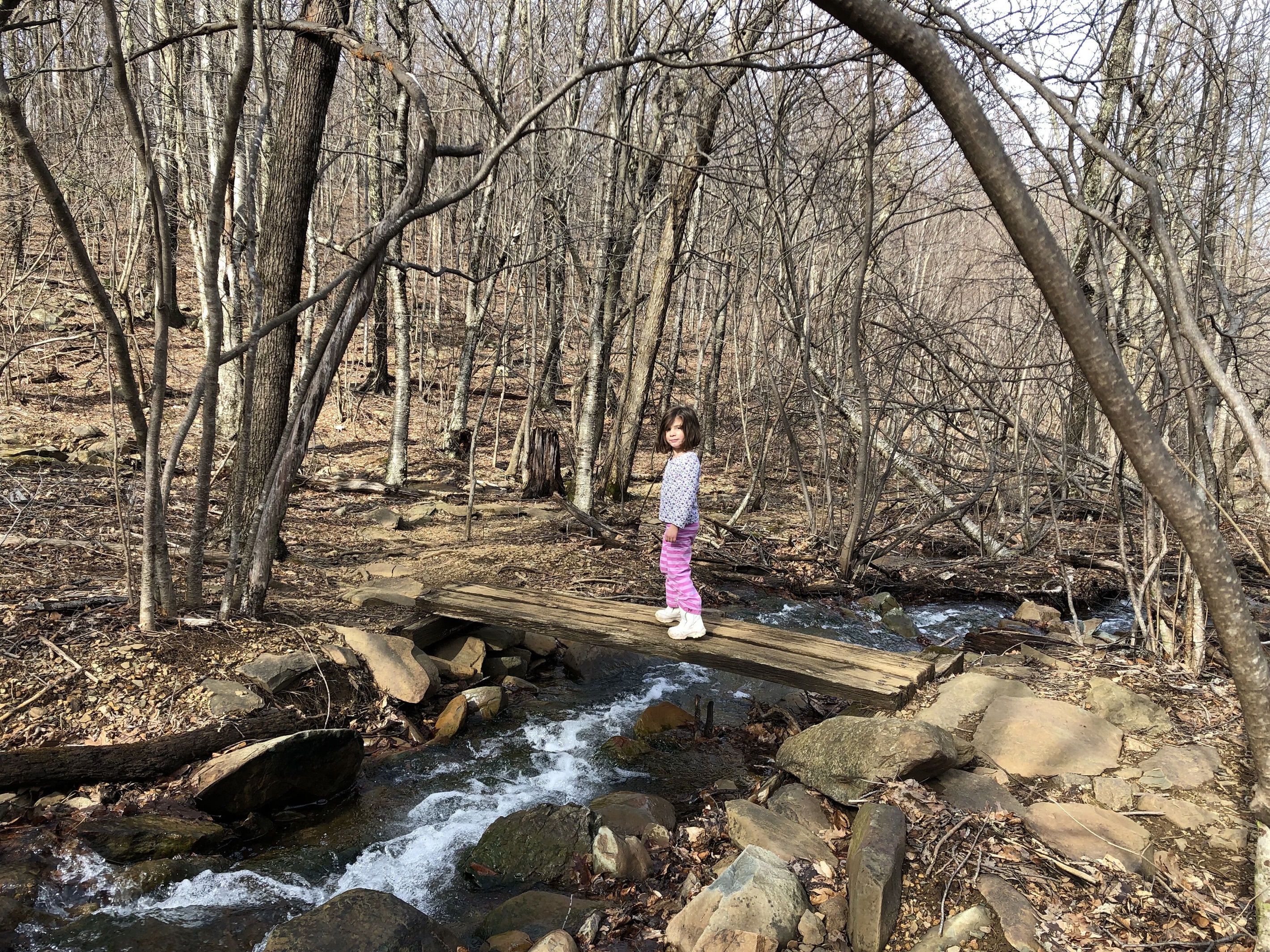 Hike to Shamokin falls 