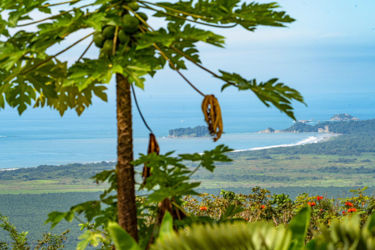 Panoramic Pacific Ocean views from the hilltop estate — jungle coastline stretching to the horizon