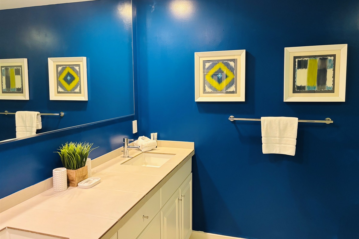 Downstairs queen bath (ensuite)